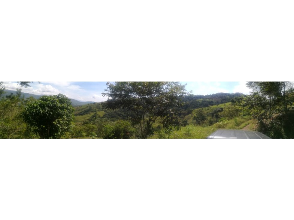 FINCA GANADERA EN MARSELLA RISARALDA