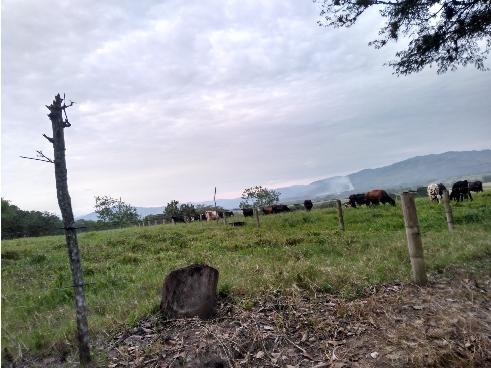 Se venden Lotes Valle del Risaralda