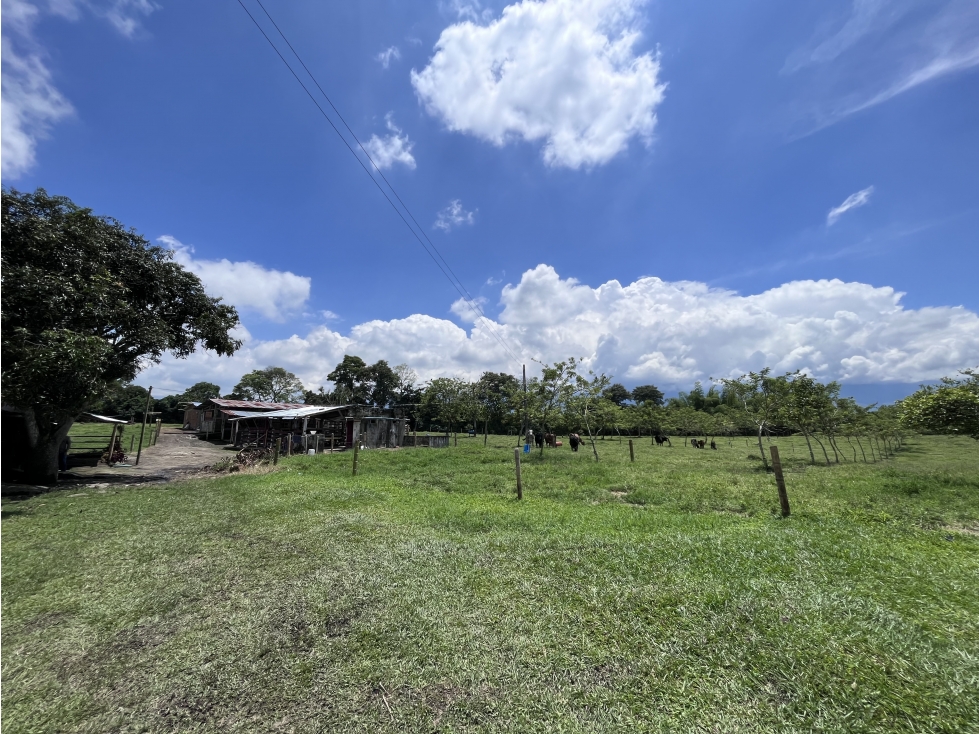 VENTA DE LOTE CAMPESTRE EN ARMENIA, QUINDIO, COLOMBIA