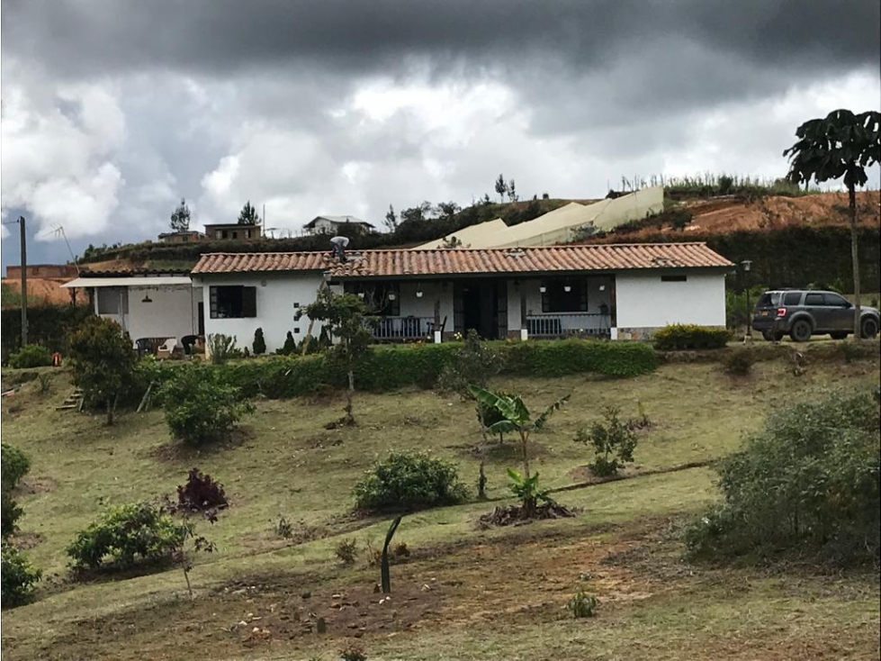 VENDO FINCA INDEPENDIENTE EN SAN VICENTE FERRER