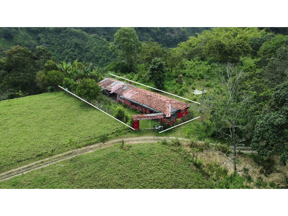 Finca Para Proyecto de TURISMO y HOTELERIA En Quimbaya