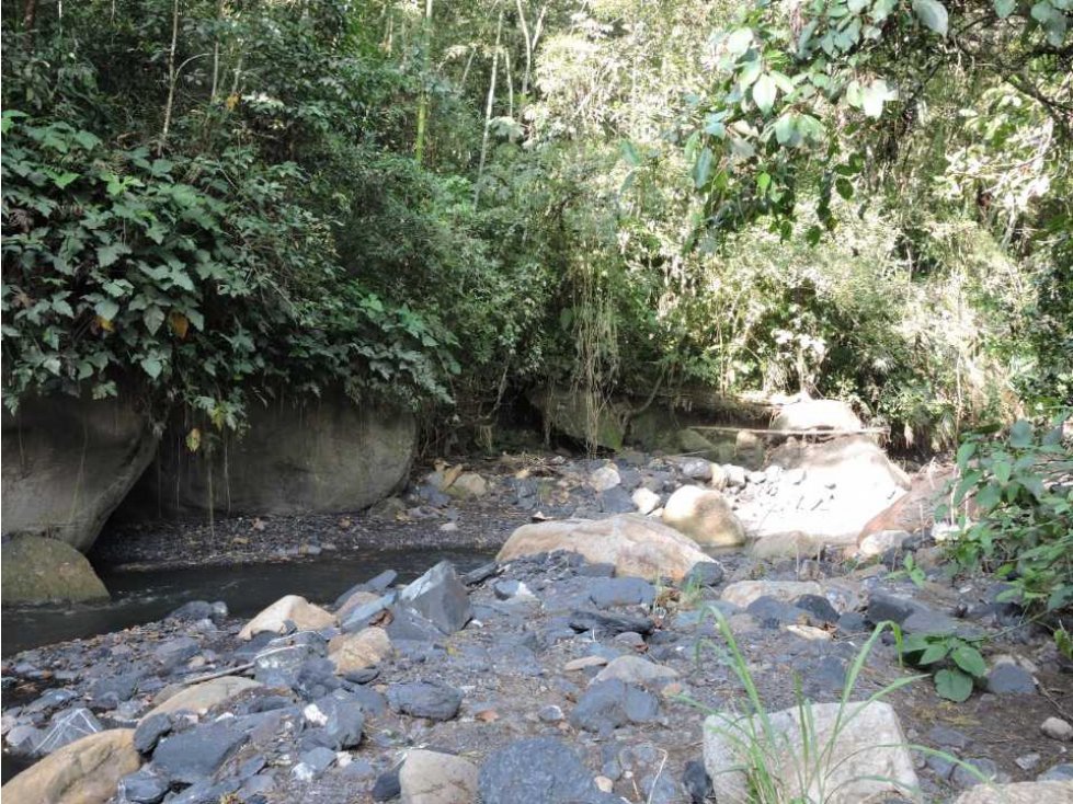 2 Hectáreas cerca al Río Apulo