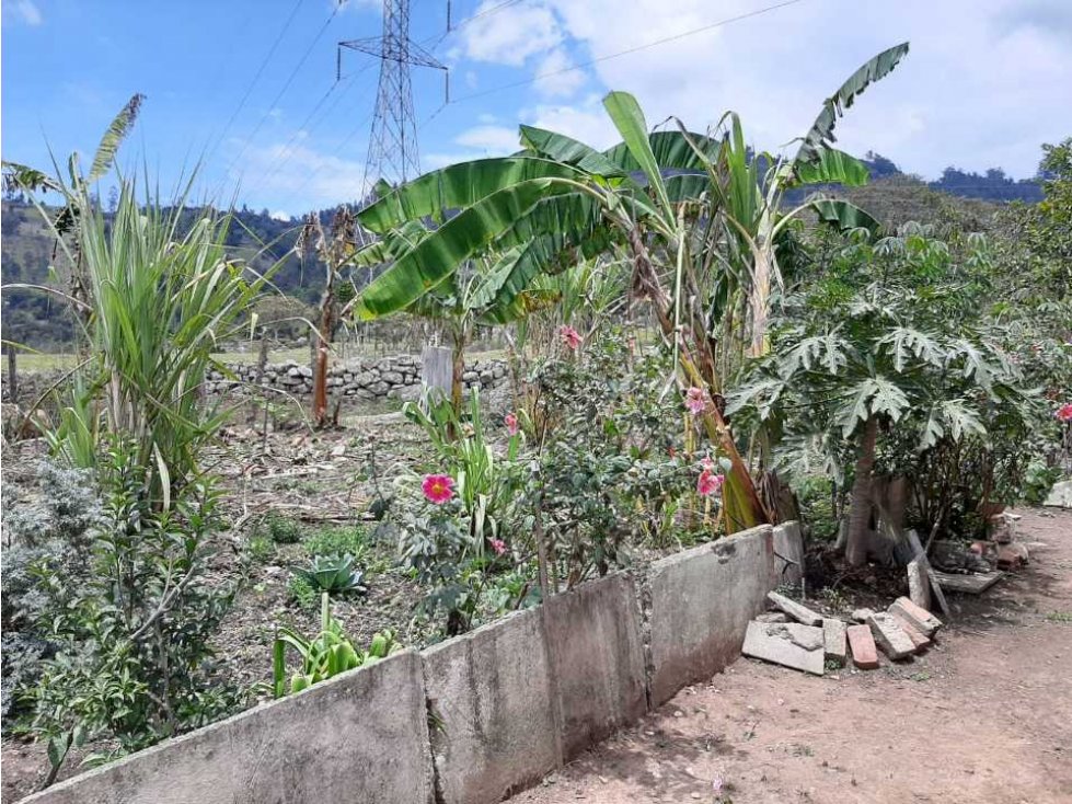 Casalote a un kilómetro de chinavita