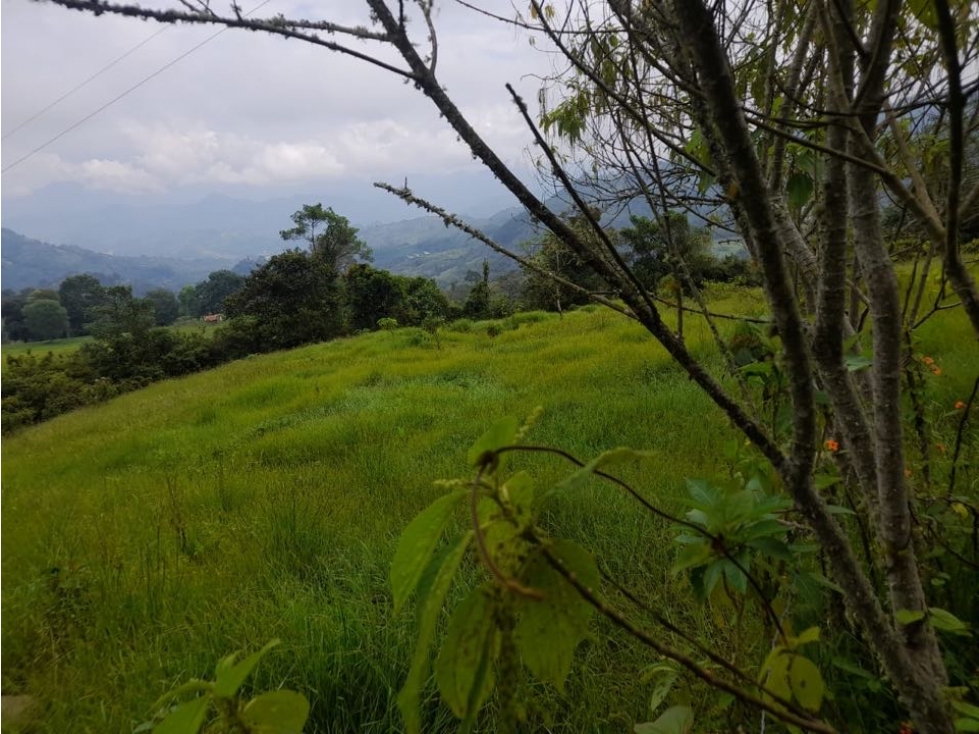 Finca de 10 fanegadas en la Vega Cundinamarca