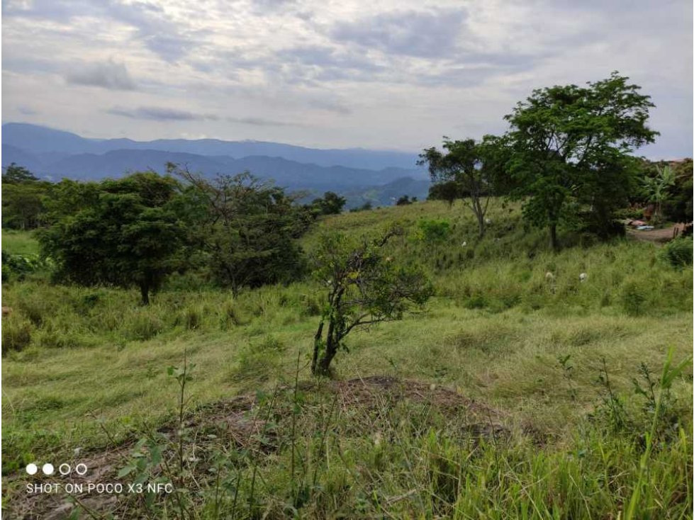 Finca de 2 hectáreas en Mesitas del Colegio