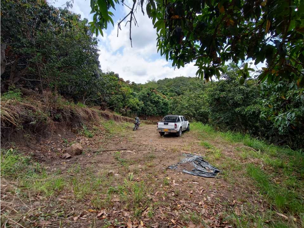 Finca Hectárea con Linda Vista entre Anapoima y La Mesa