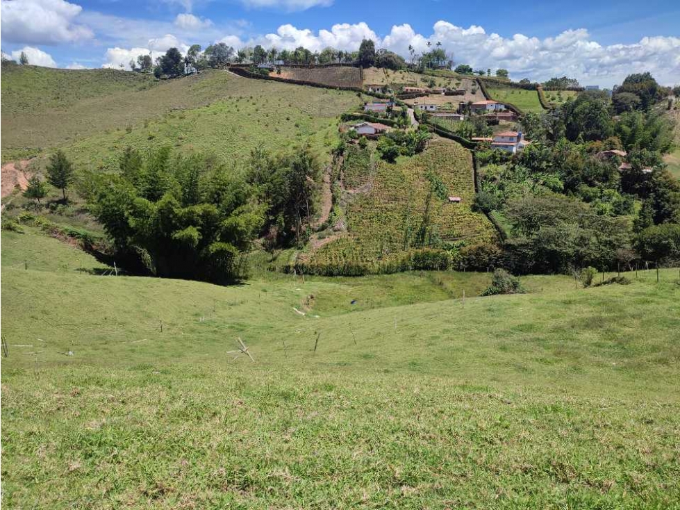 Finca, lote en venta Rionegro sector los pinos