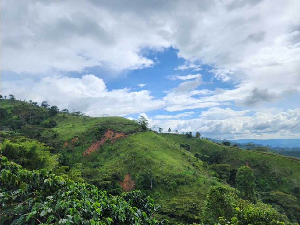 Finca para la venta en Córdoba, Quindío.