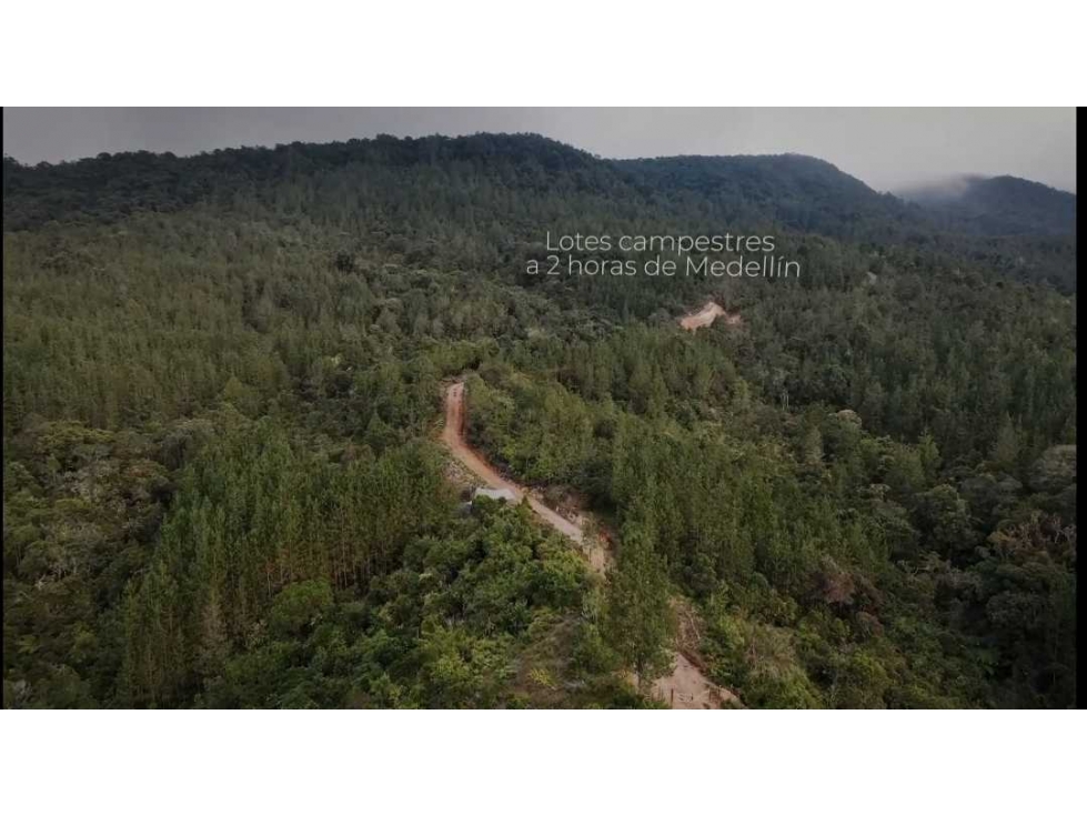 La oportunidad de vivir en el Bosque en La Unión . Lote 4 Hectareas