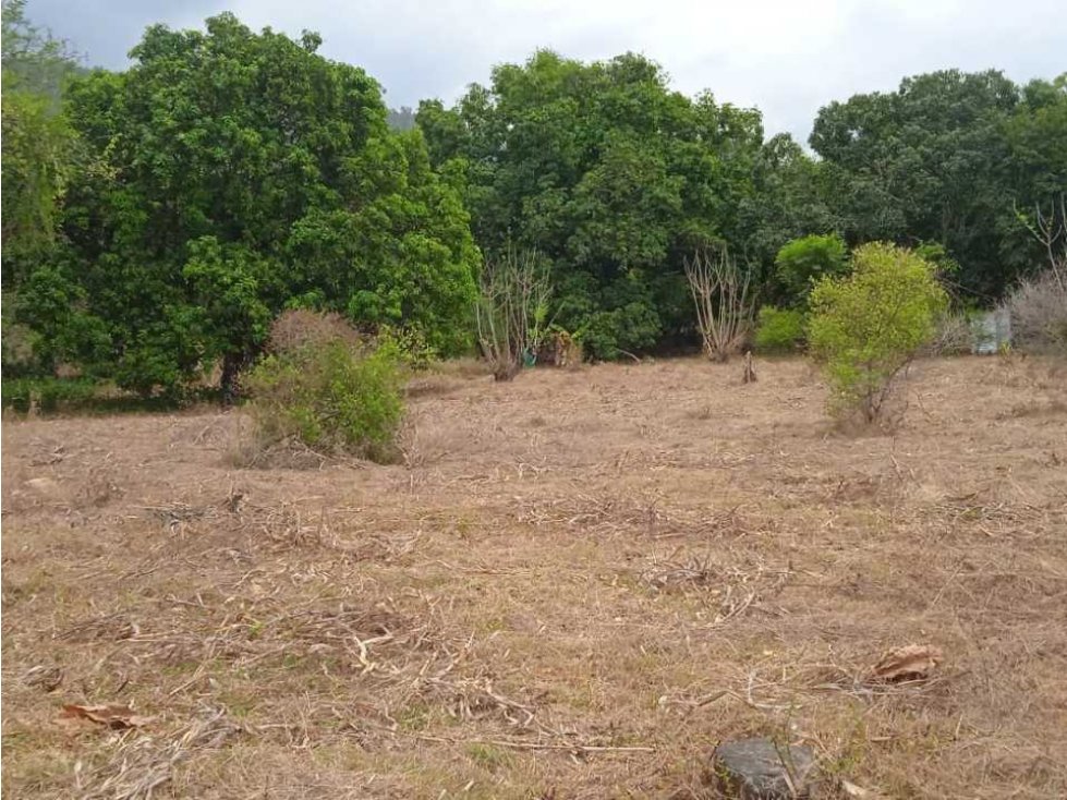 Lote de 10780m2 vía ciénaga-santa rosalía km 17, zona bananera