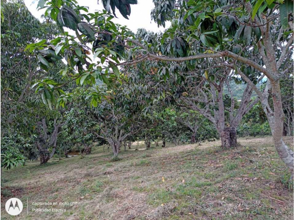 Lote en Anapoima- Ideal para urbanizar