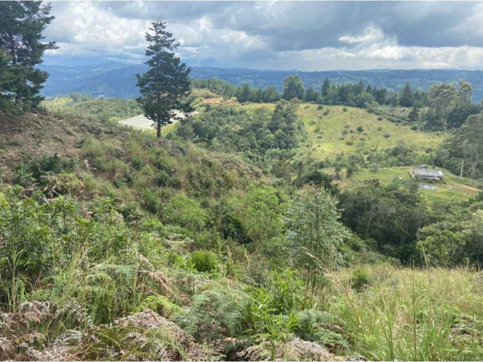 LOTE EN GUARNE 8.500 MTS 290 MILLONES