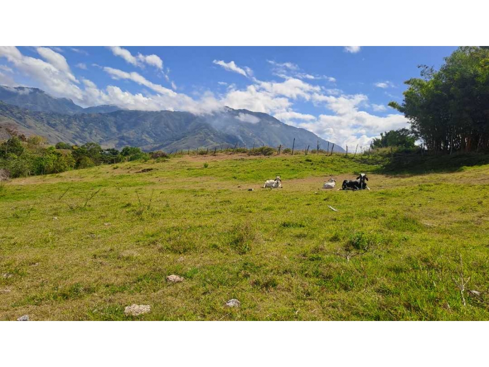 Lote en venta o permuta en  cimarrones chachgui Nariño