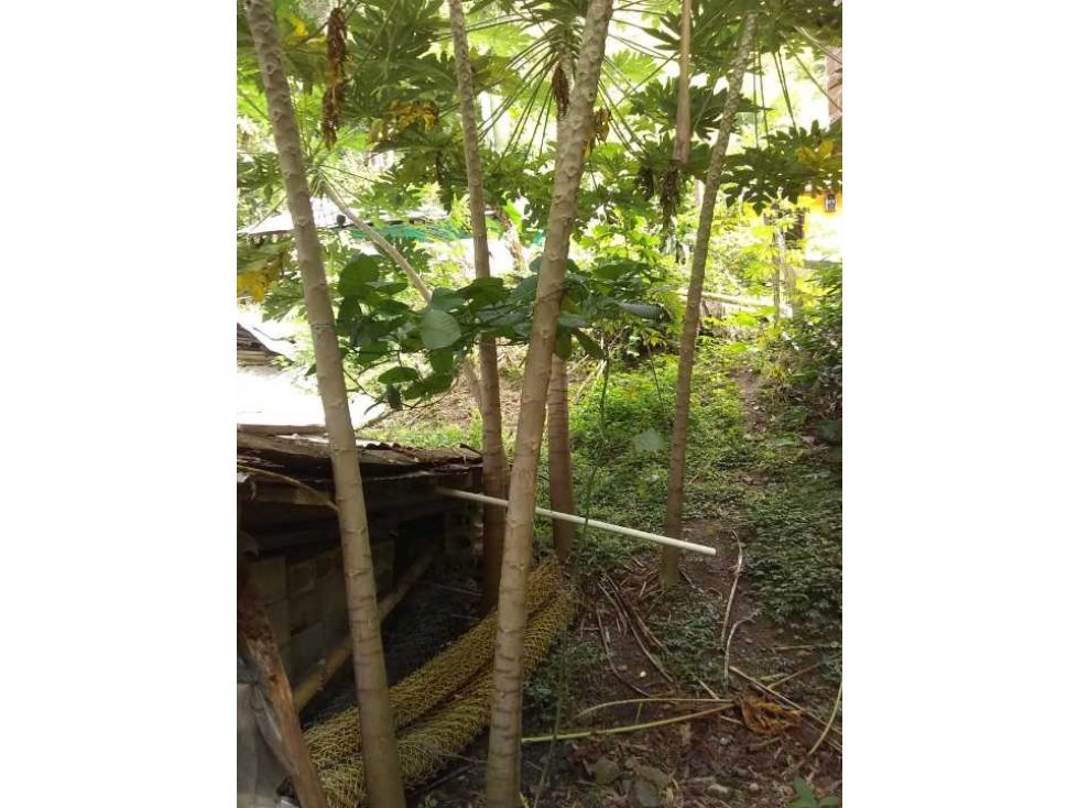 Lote ,en venta ,San Jerónimo,Antioquia,Colombia