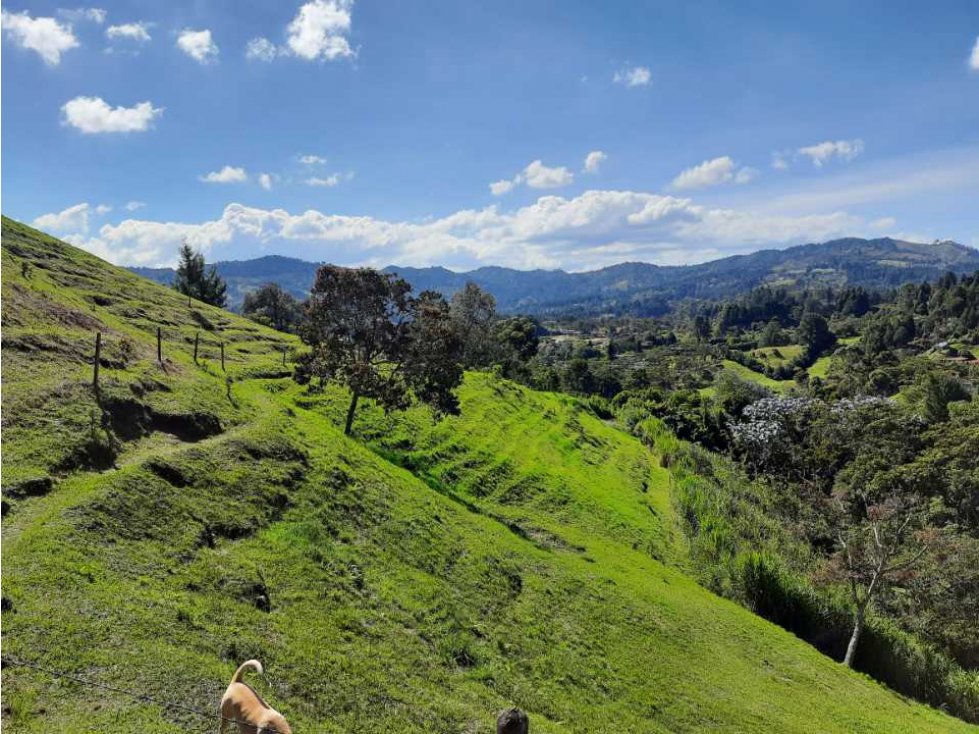 Lote en venta, Vereda El Molino, Municipio de Guarne, Antioquia