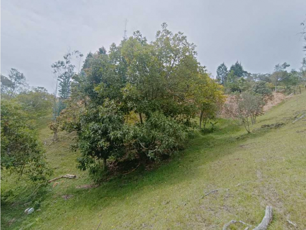 LOTE PARA LA VENTA EN GUARNE (SECTOR VIA AEROPUERTO)