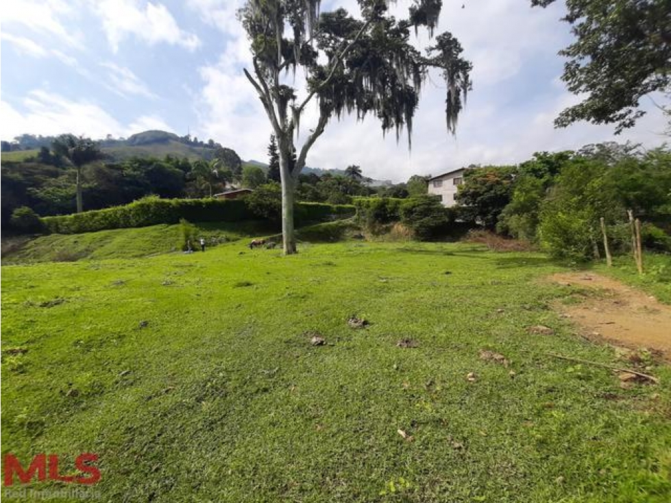 Lote Residencial(MLS#234706)