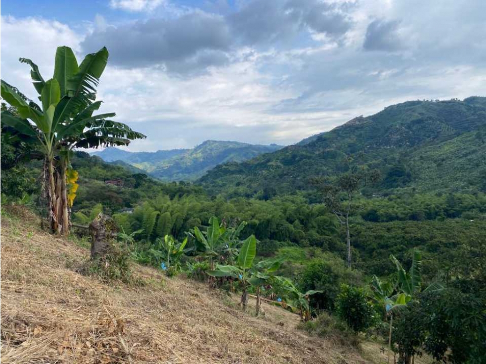 Lote Vereda El Trébol Vía Chinchiná Marsella Caldas