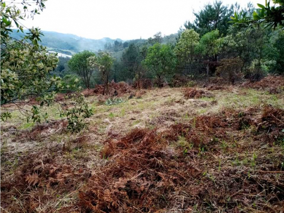 Oportunidad De Adquirir Tierra ?? En Exelente Ubicación