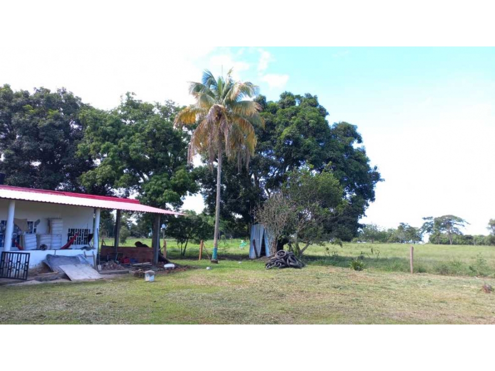 Se vende finca agricola y ganadera