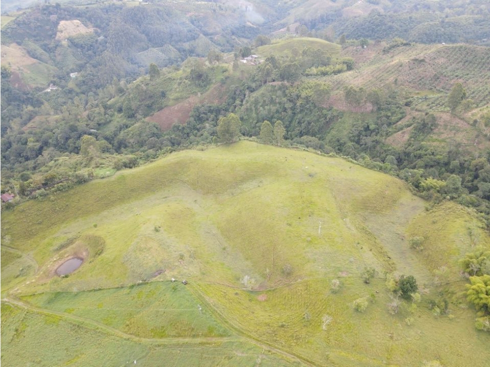 SE VENDE FINCA EN PASTO SECTOR SAN JUAN DE CAROLINA SALENTO