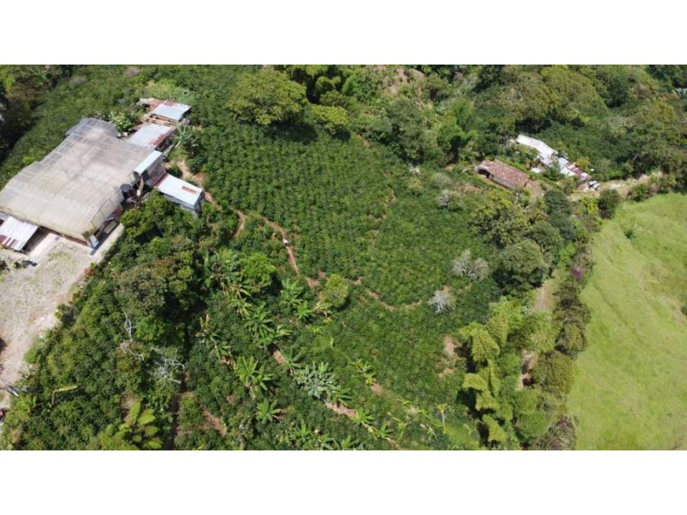 Se vende finca en riosucio caldas