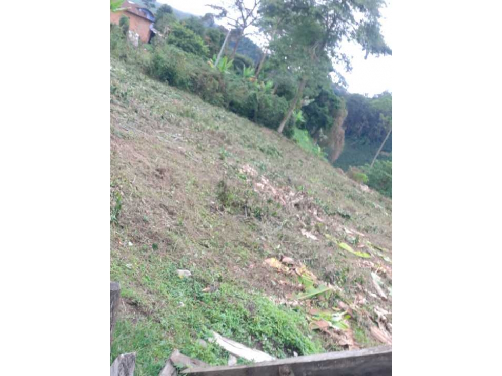 Se vende lote en el Líbano Tolima (zona rural)