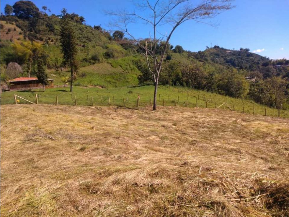 se vende lote en la vereda la estrella morron pereira