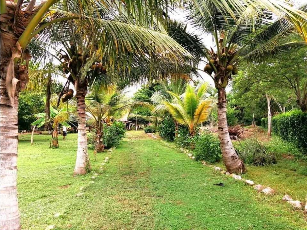 VENDO CASA FINCA EN LORICA CÓRDOBA