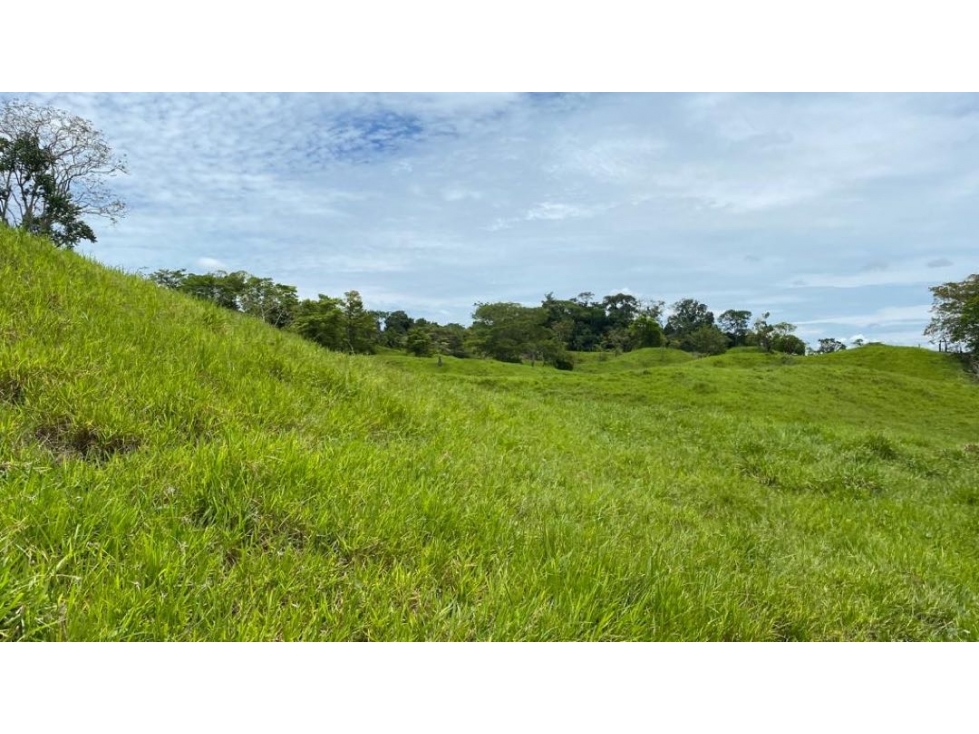 Finca ganadera en venta en Puerto Berrío - Antioquia