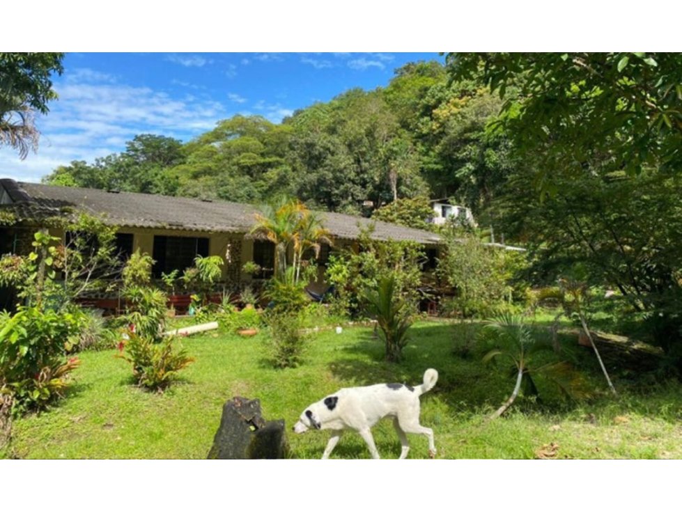 Vendo finca a 6 km de Villavicencio 10 Hectáreas + 3200 m2