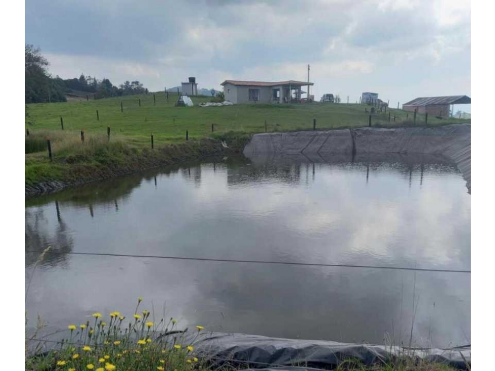 VENDO FINCA EN VILLAPINZON CUNDINAMARCA.