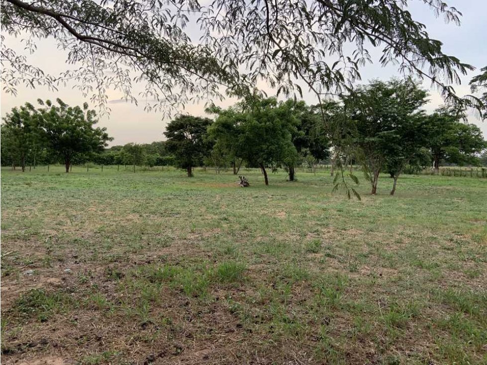 Vendo Lote Campestre en Valledupar en oportunidad