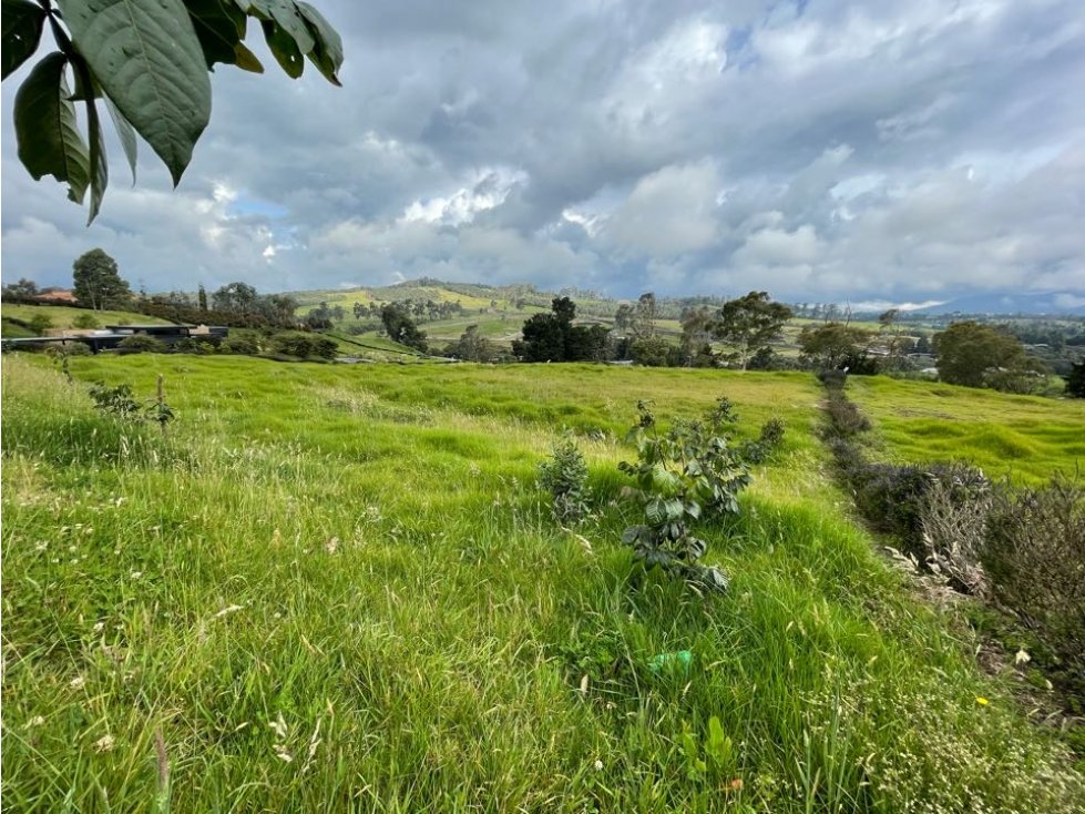 Venta Lote - Sector Alto de Las Palmas