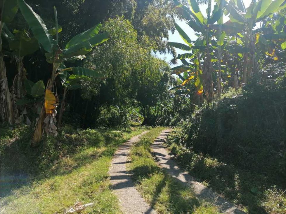 Venta de Finca  en la  Vereda La Argentina via a marsella