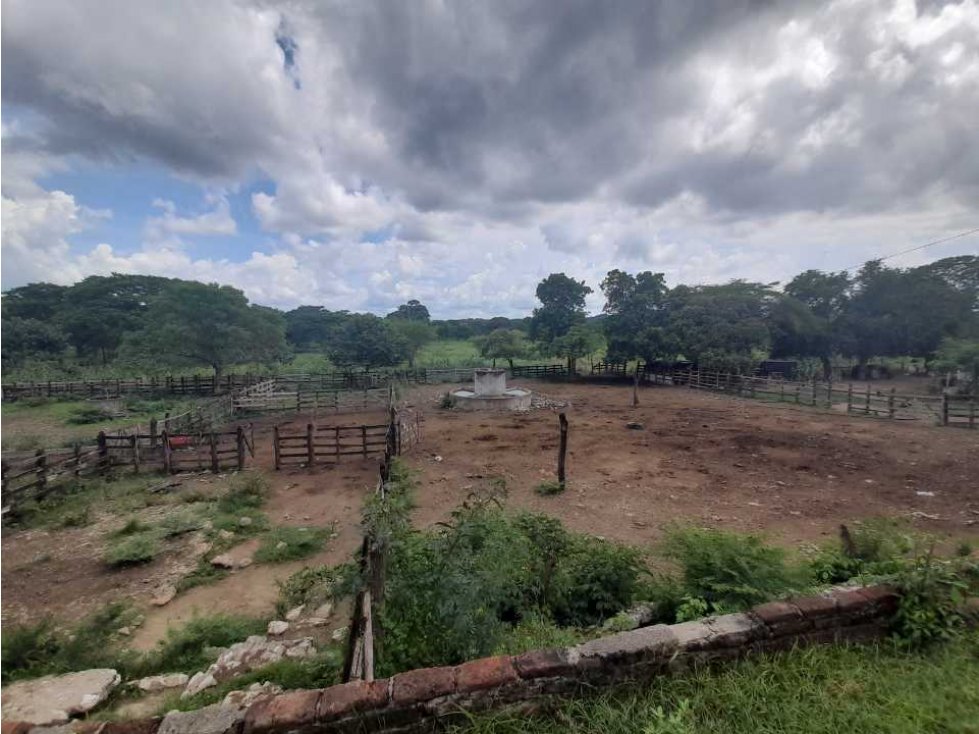 VENTA DE FINCA EN SABANALARGA