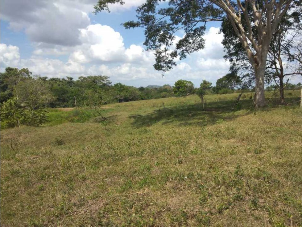 VENTA DE FINCA EN SAN ANTERITO, MONTERIA