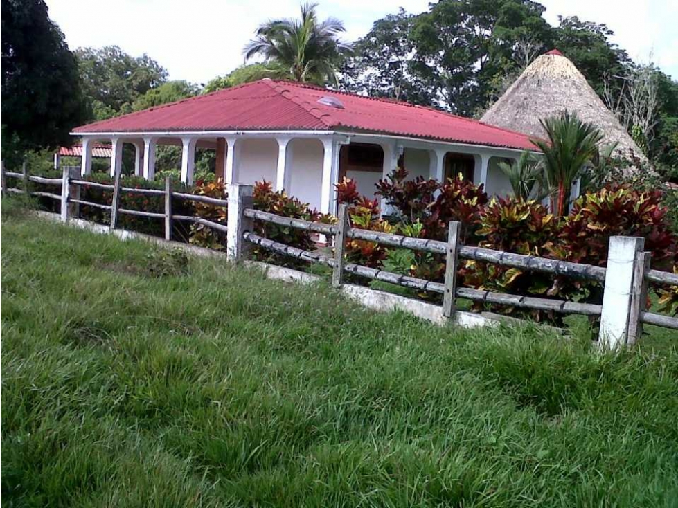 VENTA DE FINCA EN TOLIMA PURIFICACION