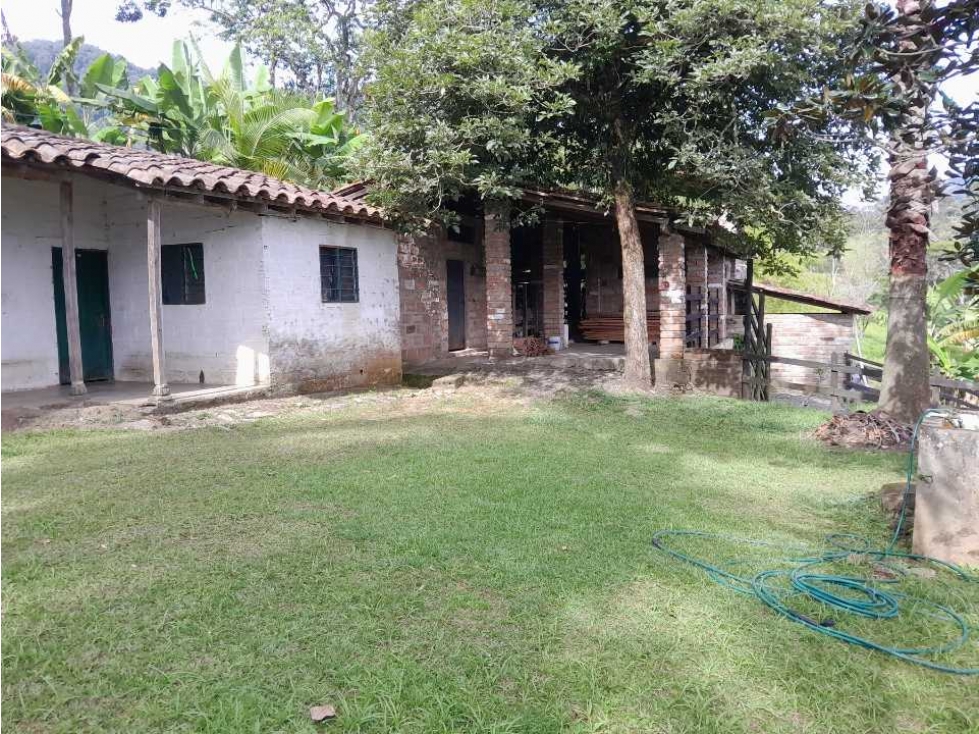 VENTA DE FINCA FREDONIA, SUROESTE ANTIOQUEÑO.