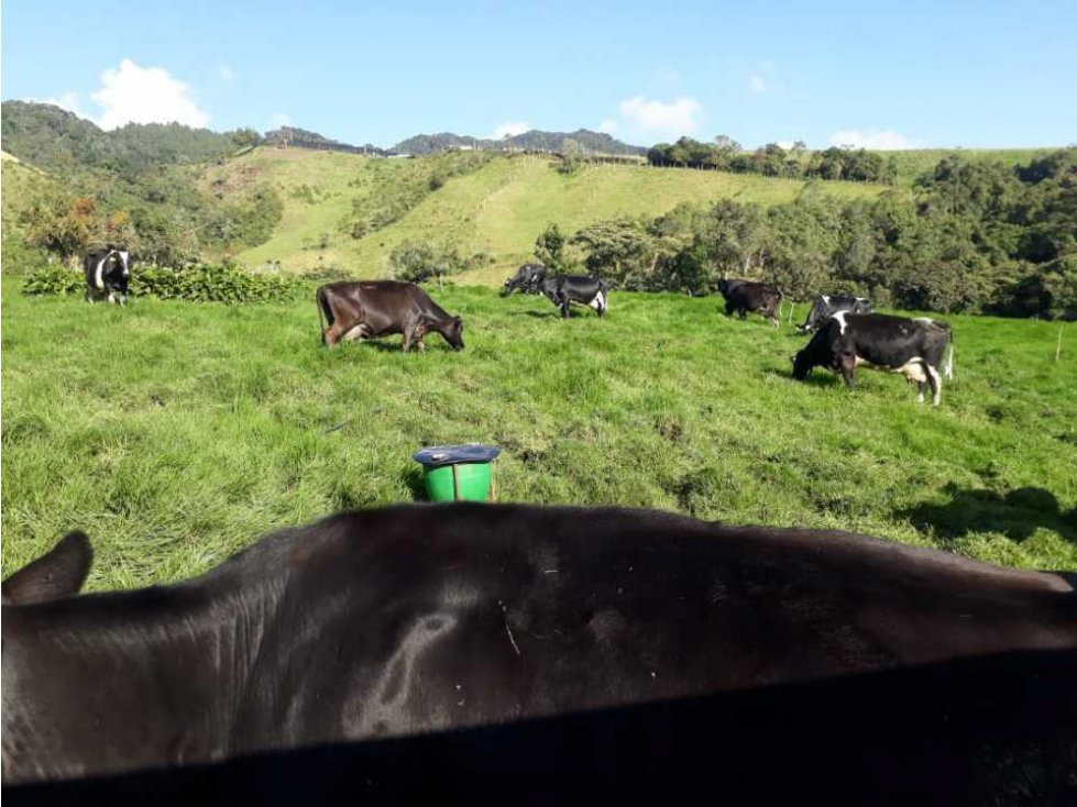 Venta de lote en la Union Antioquia