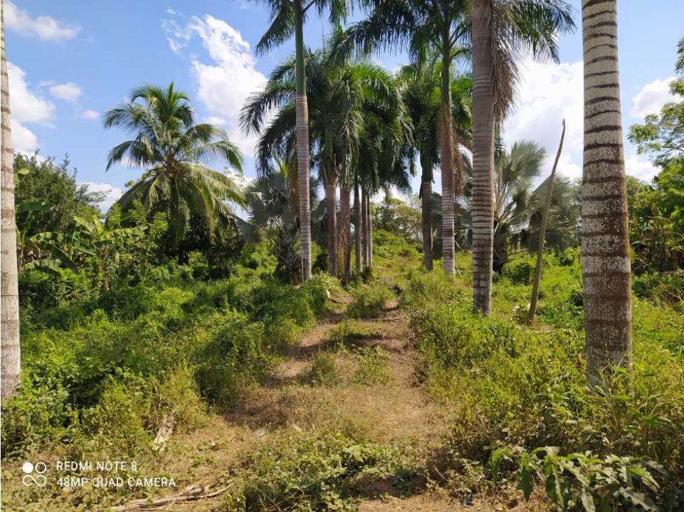 Venta de lote terreno en las lamas, Monteria