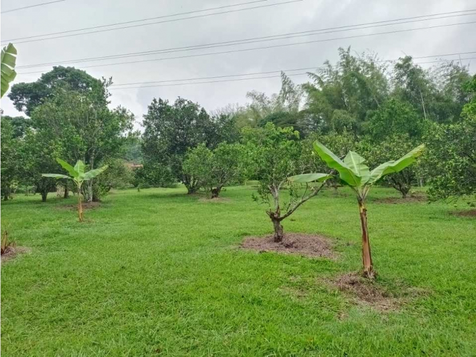 VENTA DE PARCELACION 2,4 CUADRAS  BARBOSA ANTIOQUIA