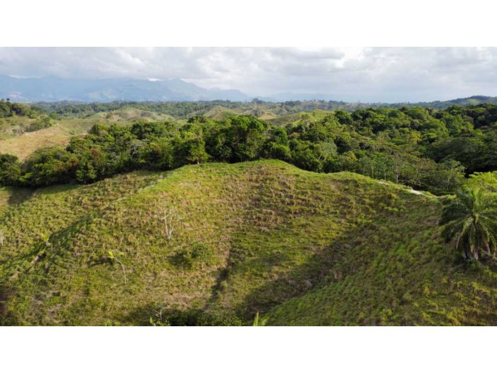 VENTA FINCA EN PUERTO BOYACÁ VEREDA DOS QUEBRADAS