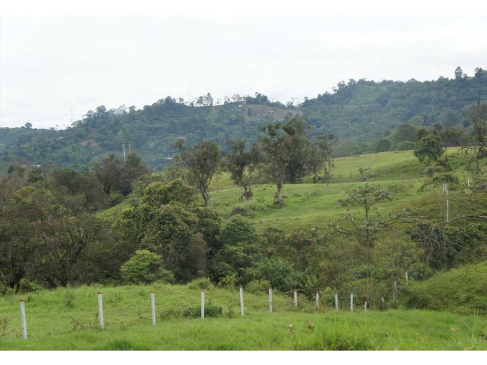 Venta finca  51 Ha Sasaima ideal para cultivo o ganadería (DR)