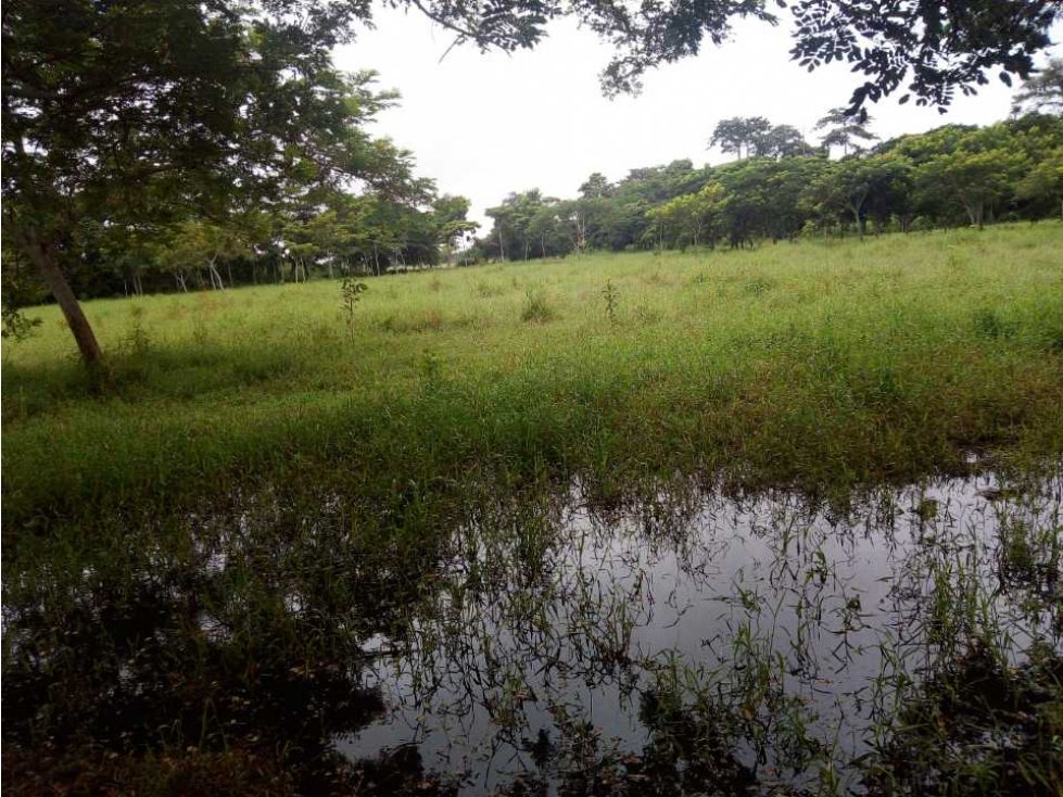 Venta Finca Ganadera y Agricola en Tuchin Cordoba