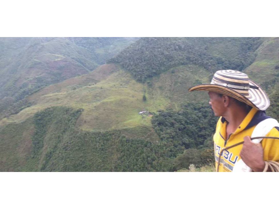 VENCAMBIO FINCA ITUANGO , VEREDA PENÀ, ANTIOQUIA