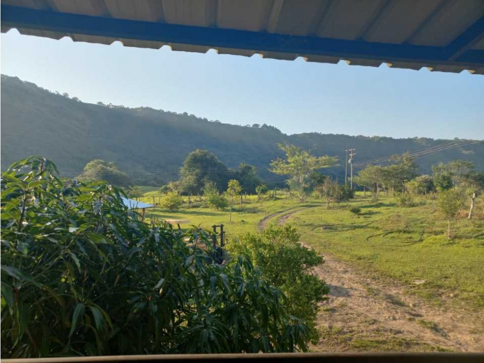 VENTA FINCA PAICOL HUILA