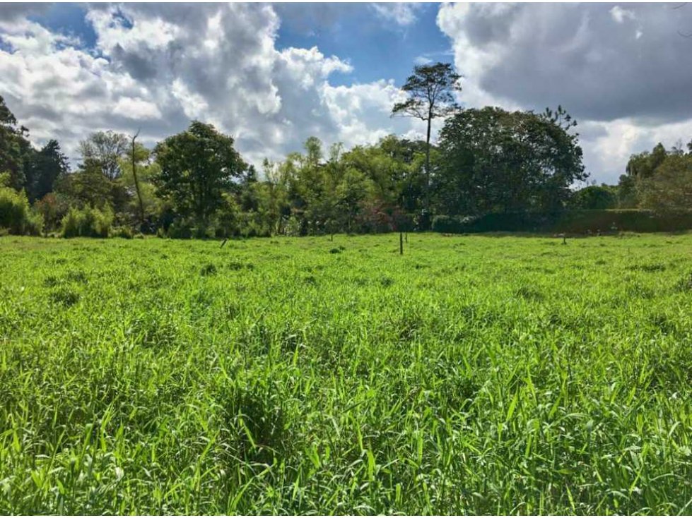 Venta Lote corazon de Llanogrande