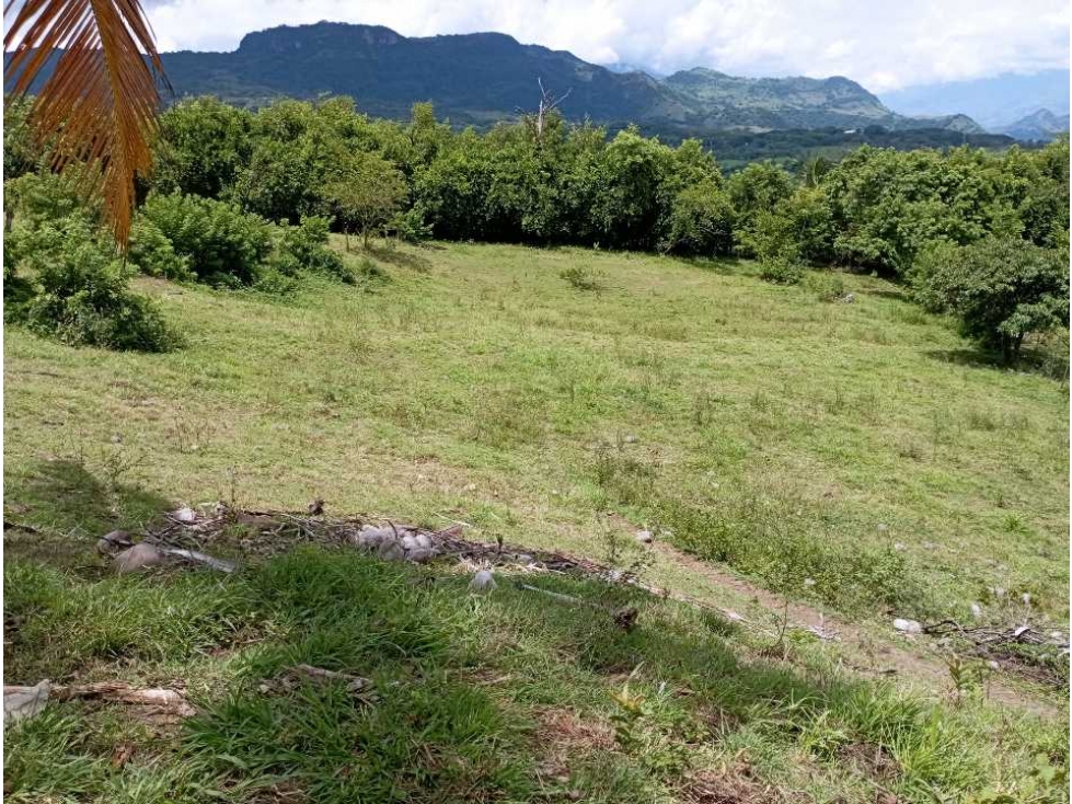 VENTA FINCA LA PINTADA SUROESTE ANTIOQUEÑO