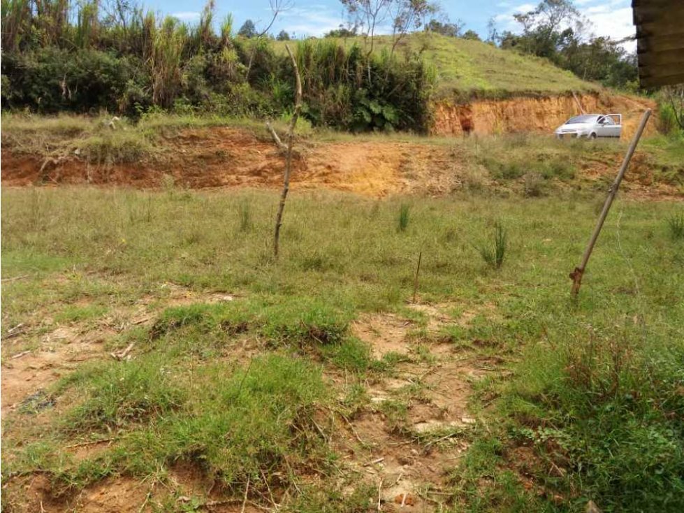 Venta lote, Zona Franca, de Palermo, sitio nuevo, Magdalena, Colombia.